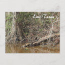 Zoek naar texas briefkaarten Natuur