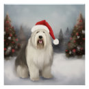 Recherche de chien de berger posters Noël