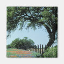 Recherche de country magnets Campagne