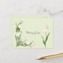 Recherche de tulipes blanches cartes postales Fleurs