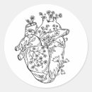 Recherche de anatomie autocollants Médical
