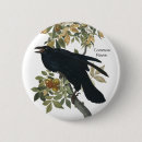 Recherche de le corbeau badges Oiseau