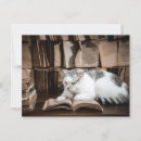 Zoek naar lezen briefkaarten Dieren