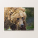 Recherche de yellowstone puzzles Ours