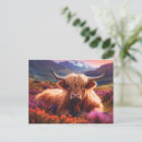 Recherche de scotland cartes postales De vache de montagne