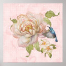 Recherche de hummingbird posters Colibri