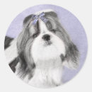 Recherche de shih tzu chien autocollants Chiot