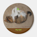 Recherche de jeu de boule magnets Loisirs