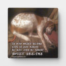 Recherche de empreintes pattes plaques Pour tous