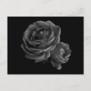 Recherche de rose gothique cartes postales Romance
