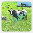 Recherche de vache mignonne autocollants Ferme