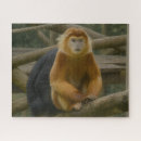 Zoek naar monkey puzzels Primaat