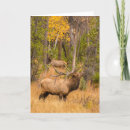 Recherche de bourrage vœux cartes Antlers
