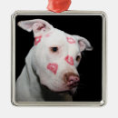 Recherche de rouge de ornements Chien