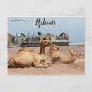 Recherche de chameau cartes postales afrique