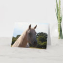 Recherche de étalon arabe vœux cartes Gris