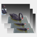 Recherche de oiseaux noirs papier cadeau Faune