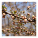 Recherche de toile de fleur posters Fleurs