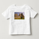 Recherche de moyen orient tshirts Architecture
