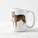 Recherche de amstaff tasses Chien