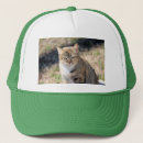 Zoek naar feline petten Tijger