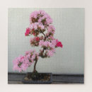 Recherche de bonsai puzzles Pour tous