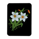 Recherche de arrière plan noir magnets Fleur