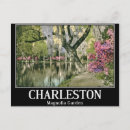 Recherche de charleston cartes postales Magnolia