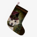 Recherche de labradors chaussette de noël Labrador retriever