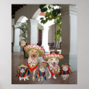 Recherche de chat mexicain posters Espagnol