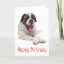 Zoek naar st bernard hond kaarten Puppy
