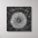 Recherche de fleur pissenlit posters Flore