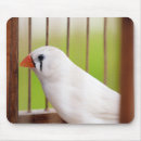 Recherche de oiseau tapis souris Finition