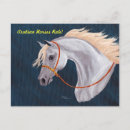 Recherche de cheval arabe blanc cartes postales Chevaux