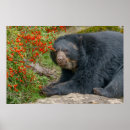 Recherche de buisson posters Pour tous