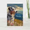 Zoek naar pet sympathy kaarten Honden