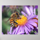 Recherche de abeille art Lavande