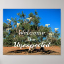 Recherche de essaouira posters Voyage