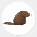 Recherche de castor mignon autocollants Animal
