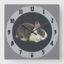Recherche de le lapin blanc horloges Animal
