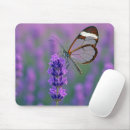Recherche de ailes tapis souris Été