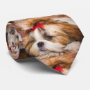 Recherche de chiot cravates Mignon