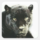 Zoek naar zwarte jaguar stickers Grote katachtigen