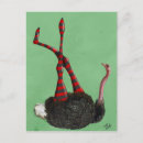 Recherche de autruche cartes postales Animaux