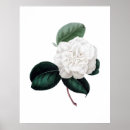 Recherche de toile de fleur posters Vintage