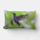 Recherche de sablage Sablage violet