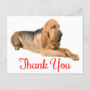 Zoek naar bloodhound kaarten Puppy