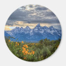 Recherche de neige couverte magnets Nature