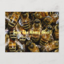 Recherche de abeille miel cartes postales Bourdon