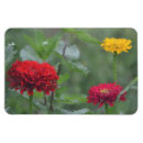 Recherche de impressionniste magnets Jardin